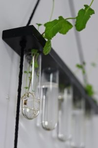 water propagation